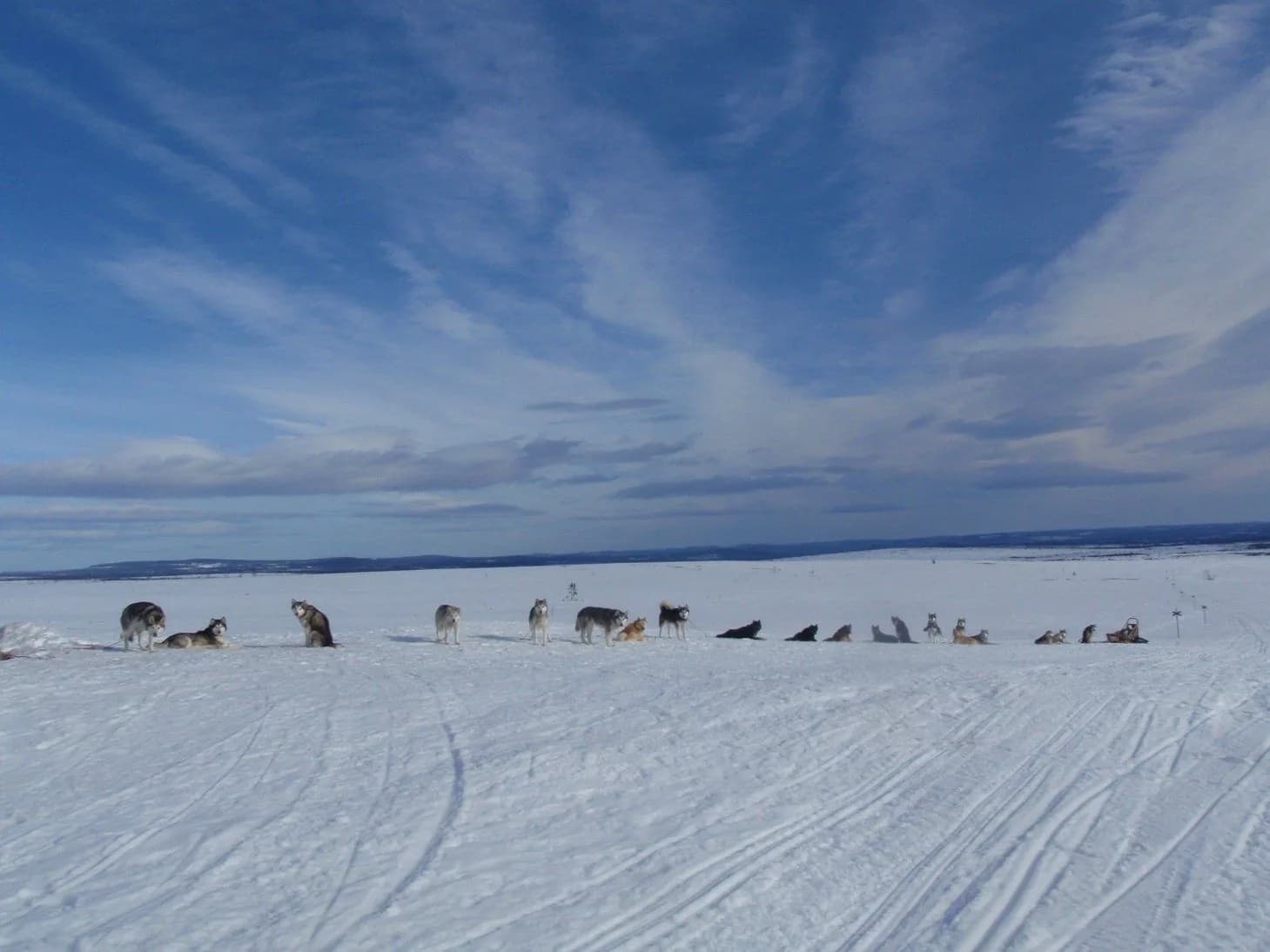 Sled ride across the frozen lake