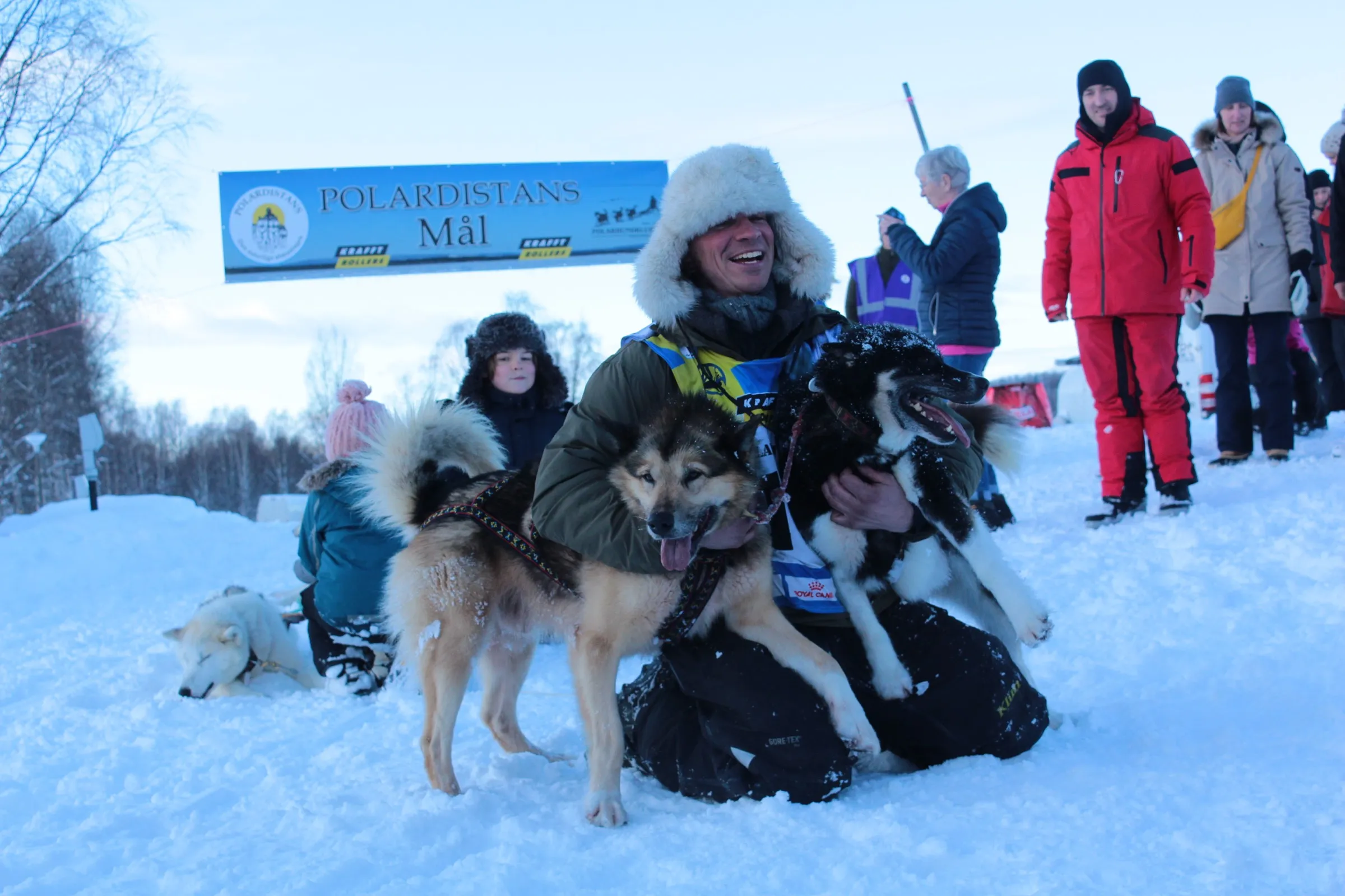 Ethical husky tours / sled dog tours