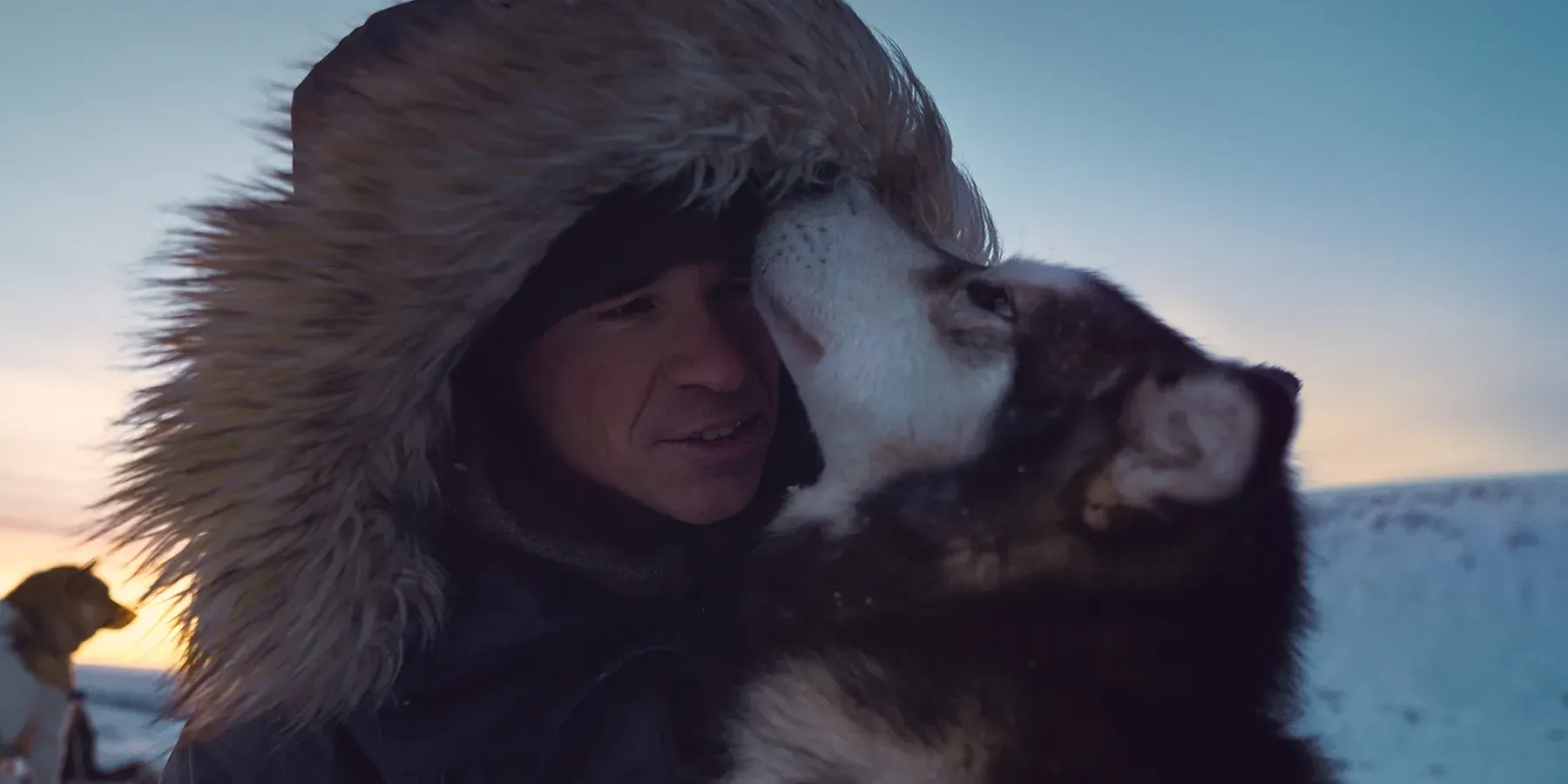 Team of original sled dogs in a snow-covered landscape