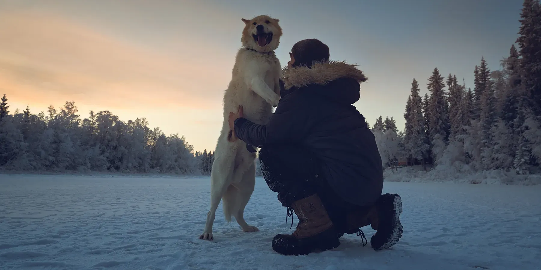 Vast winter landscape with a dog team