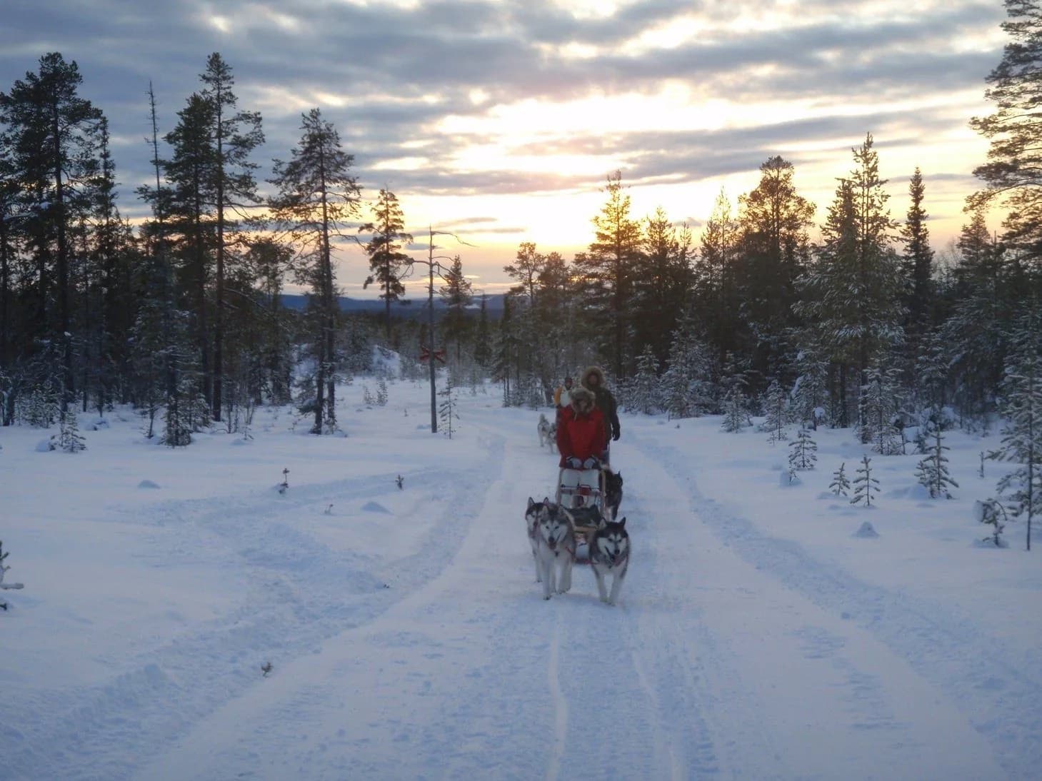 Luggage for a dog sled tour
