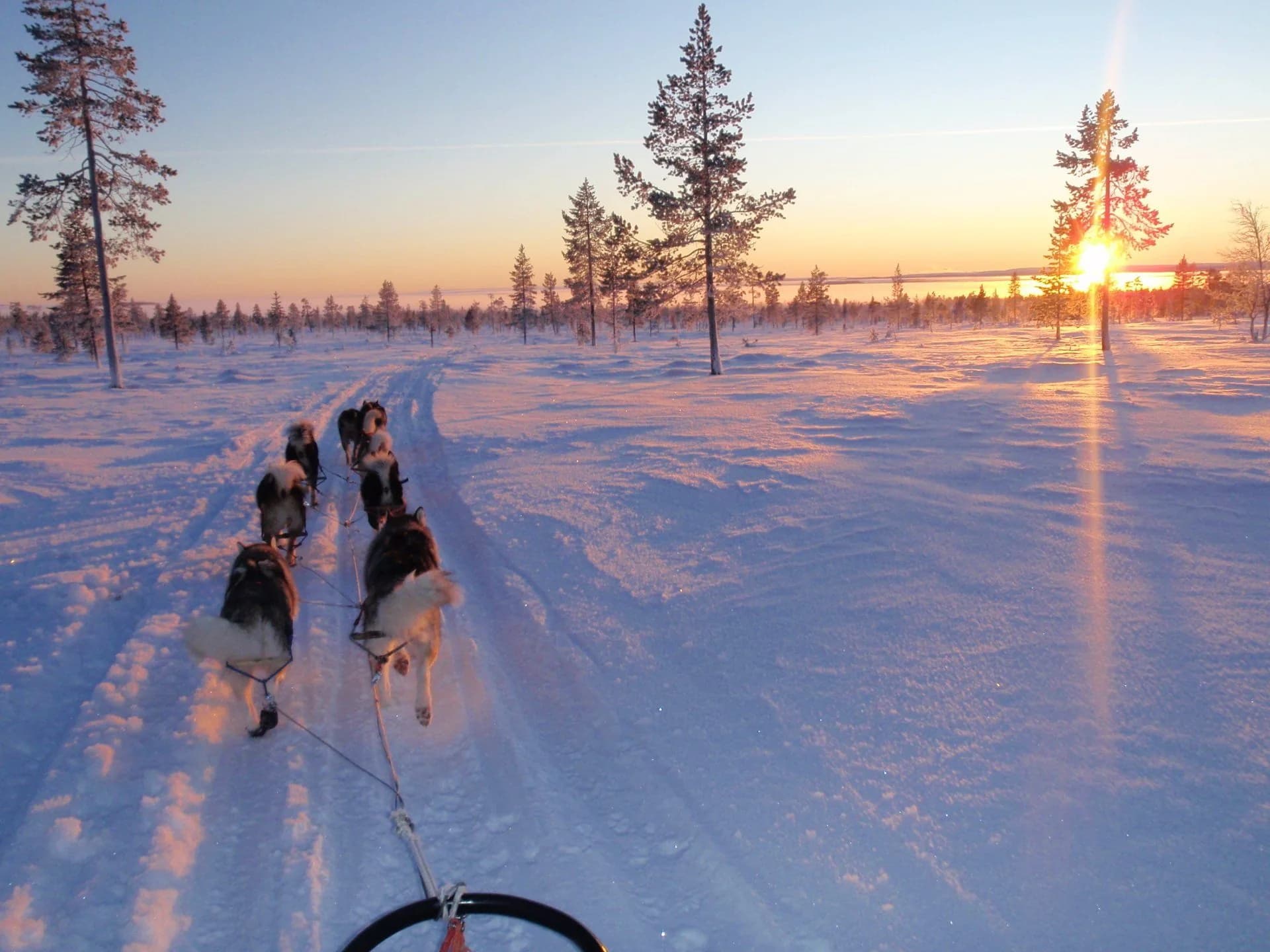 Sweden's wilderness